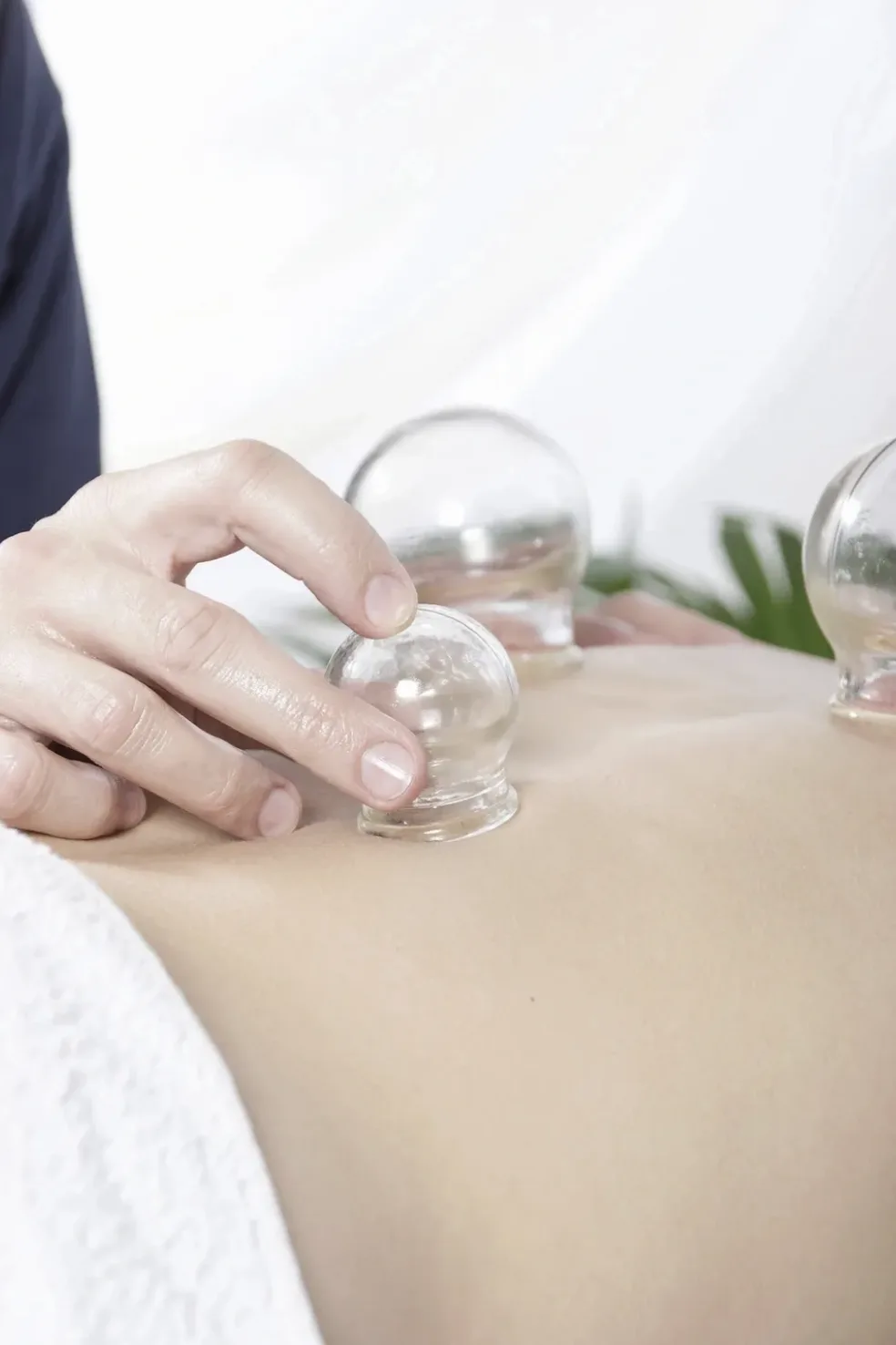 Professional acupuncture clinic interior at Dr. Harounian's Westwood, Los Angeles practice